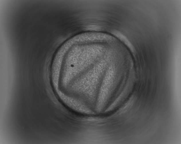 X0000092080529200710031138