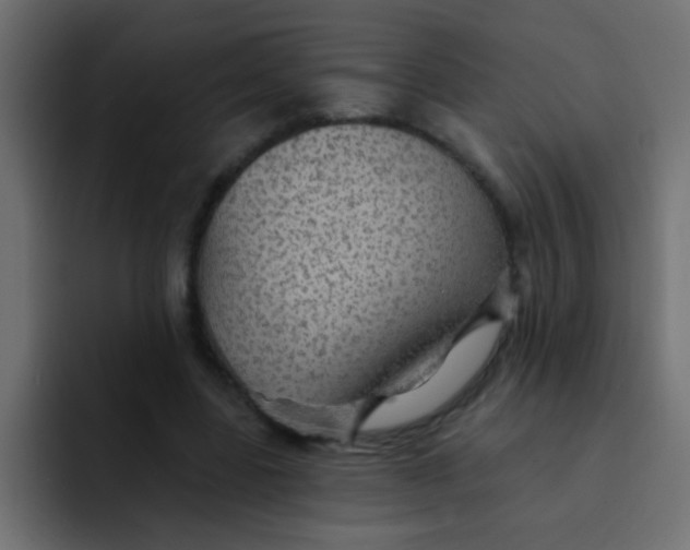 X0000092080539200710031138