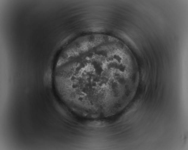 X0000092080542200710031138