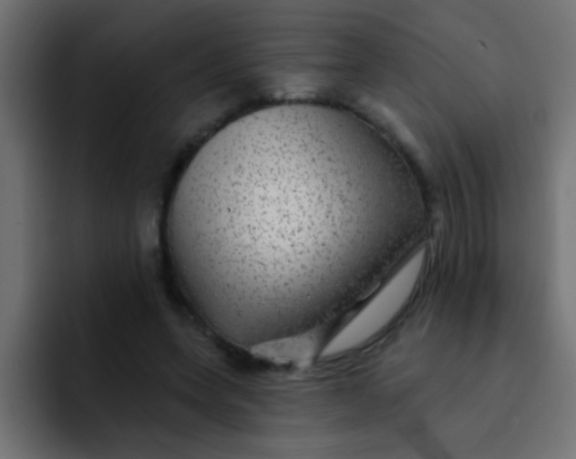 X0000092080543200710031138