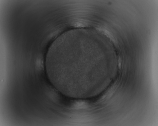 X0000092080547200710031138