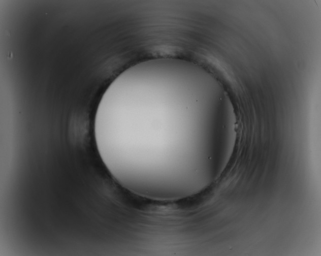 X0000092080548200710031138