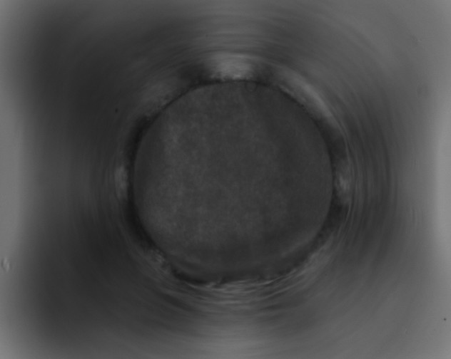 X0000092080551200710031138