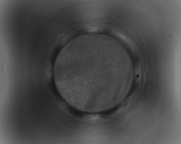 X0000092080554200710031138