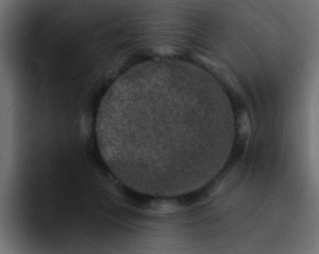 X0000092080559200710031138