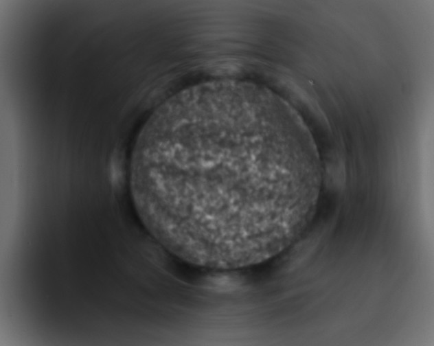 X0000092080561200710031138