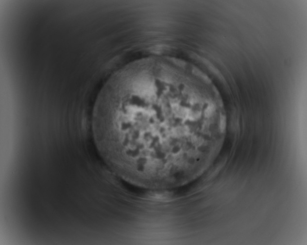 X0000092080569200710031138