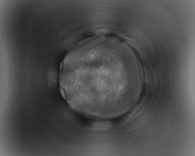 X0000092080571200710031138