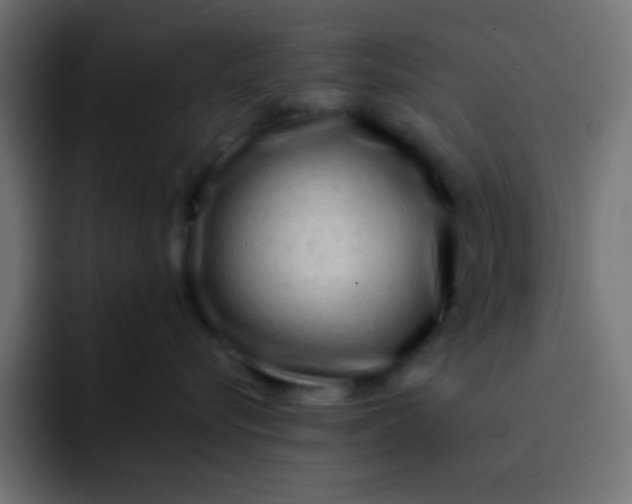 X0000092080576200710031138