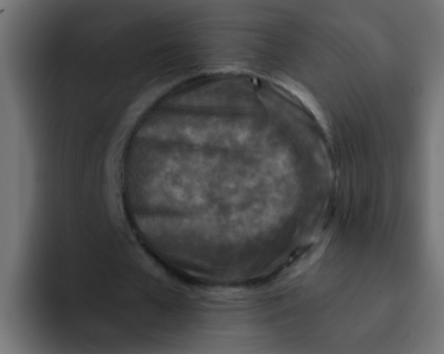 X0000092080577200710031138