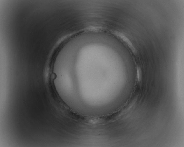 X0000092080579200710031138