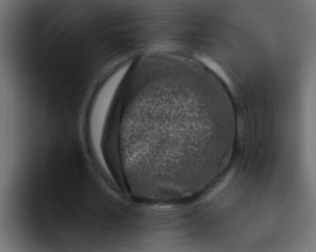 X0000092080581200710031138