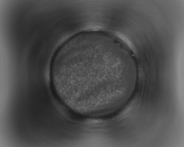 X0000092080582200710031138