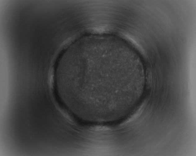 X0000092080590200710031138