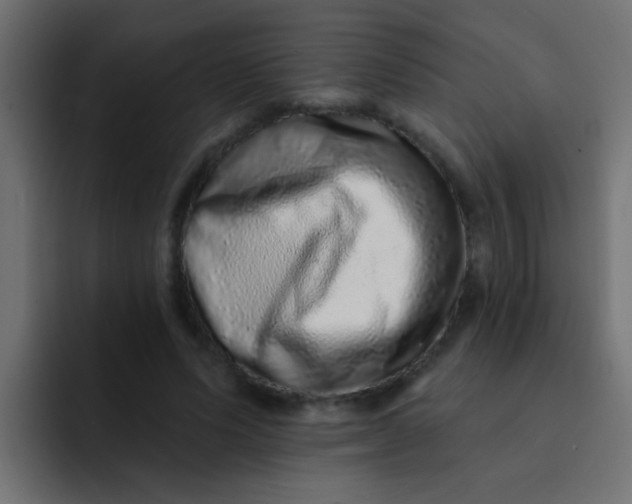 X0000092080591200710031138