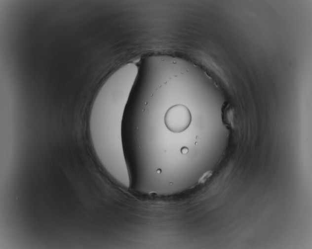 X0000092080593200710031138