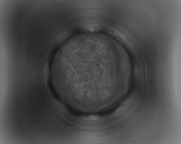 X0000092080594200710031138