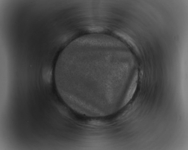 X0000092080596200710031138