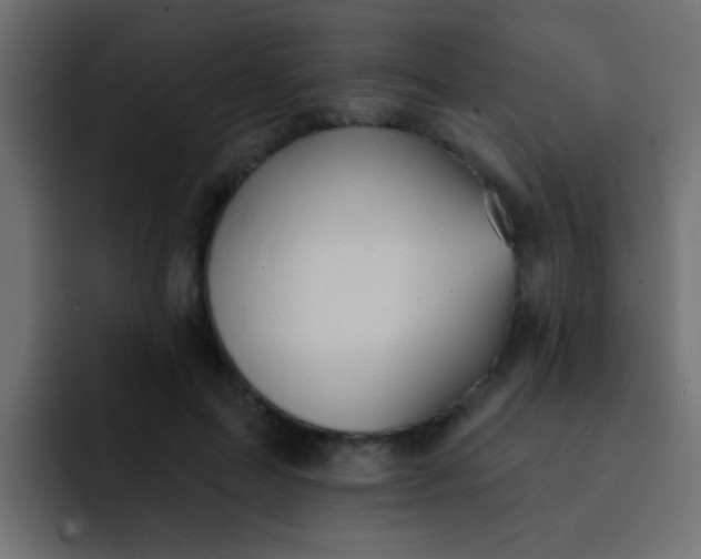 X0000092080599200710031138