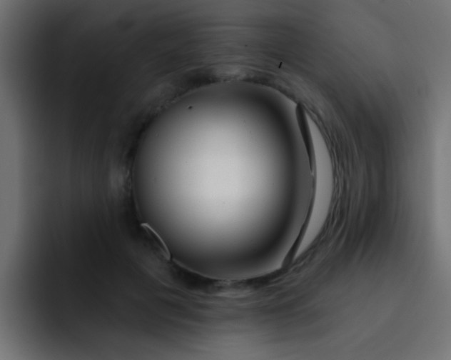 X0000092080601200710031138