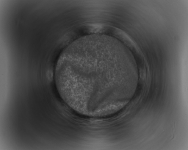 X0000092080602200710031138