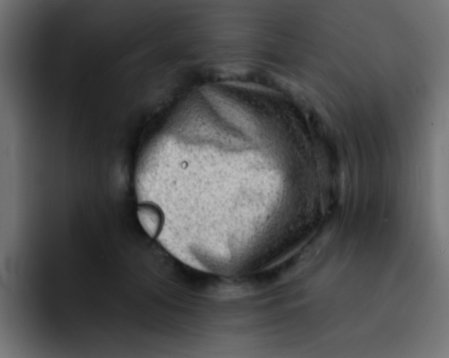 X0000092080608200710031137