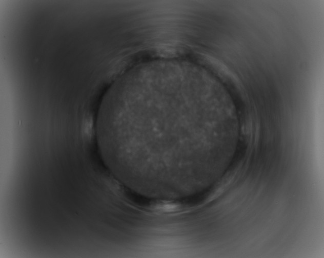 X0000092080610200710031137