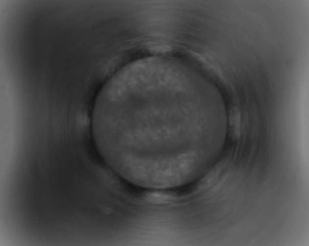 X0000092080614200710031137