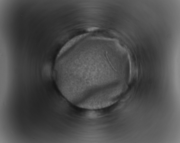 X0000092080616200710031137