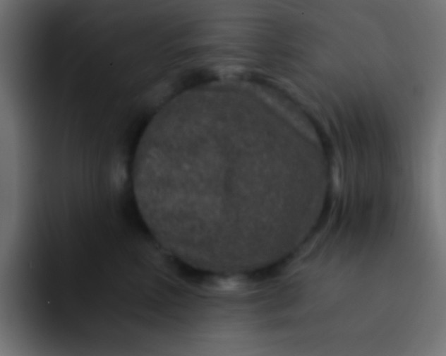 X0000092080618200710031137