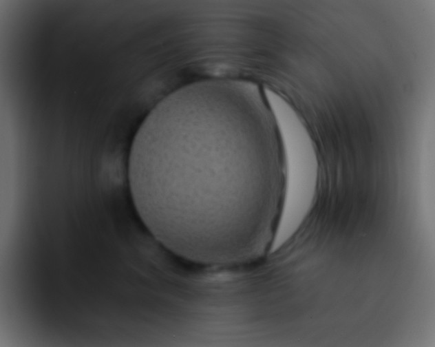 X0000092080620200710031137