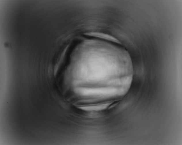 X0000092080623200710031137