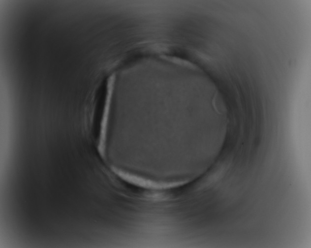 X0000092080624200710031137