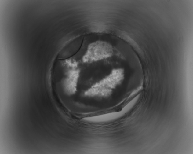 X0000092080626200710031137