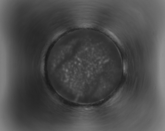 X0000092080627200710031137