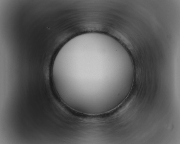 X0000092080629200710031137