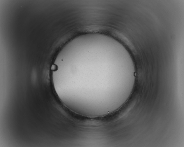 X0000092080633200710031137