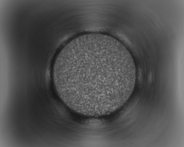 X0000092080636200710031137