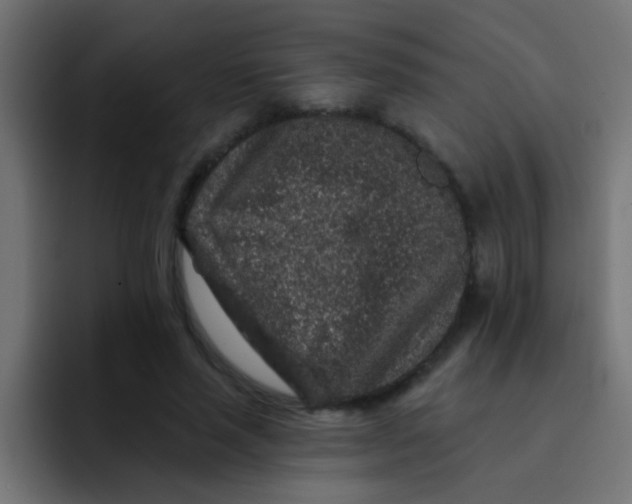 X0000092080637200710031137