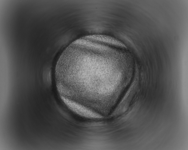 X0000092080638200710031137