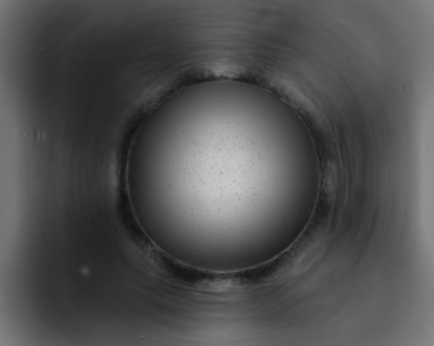 X0000092080639200710031137