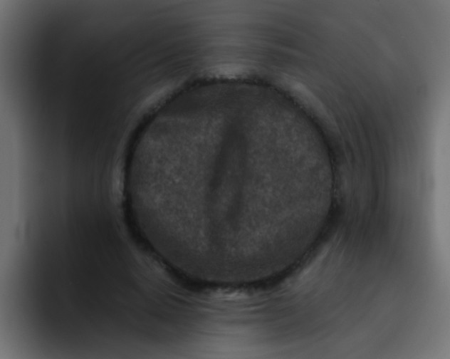 X0000092080640200710031137