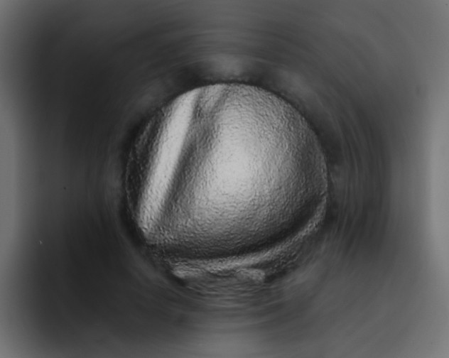 X0000092080642200710031137