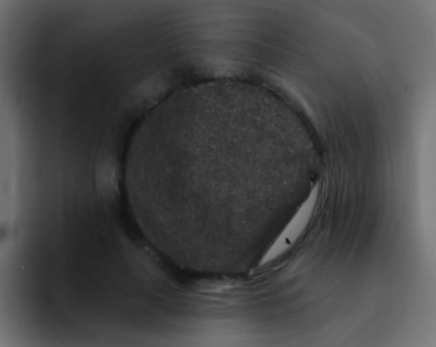 X0000092080643200710031137