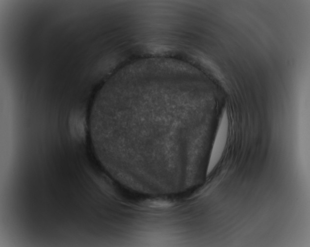 X0000092080644200710031137