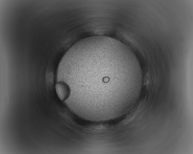 X0000092080646200710031137