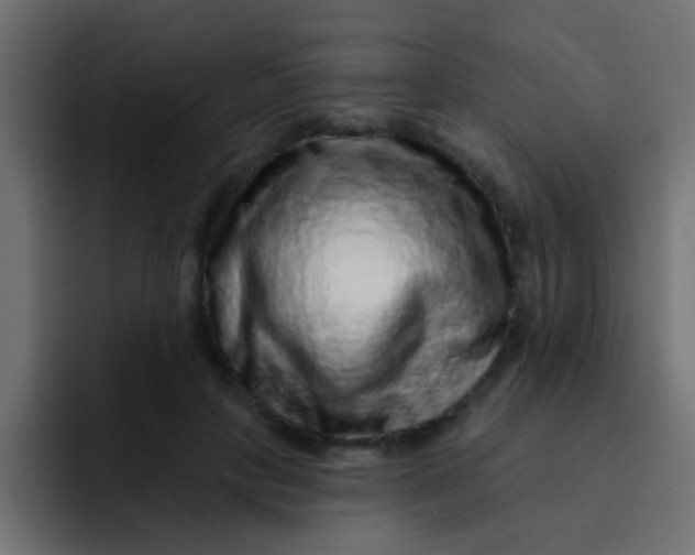 X0000092080649200710031137