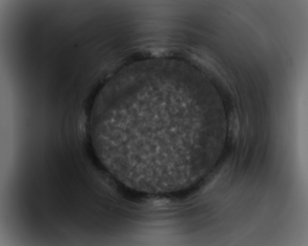 X0000092080650200710031137