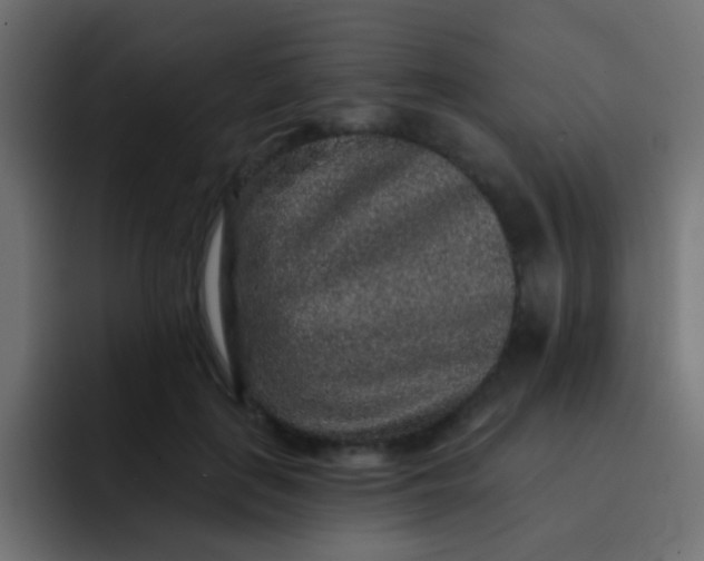 X0000092080651200710031137