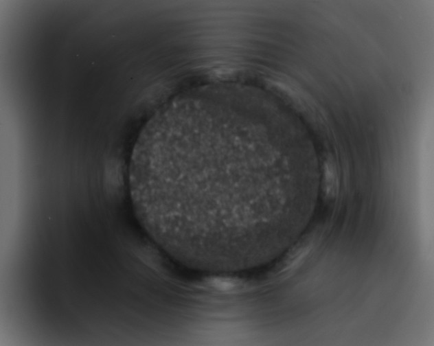 X0000092080654200710031137